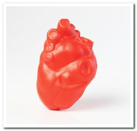 MAN-009-W/O Heart Without Vein